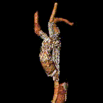 7.gif